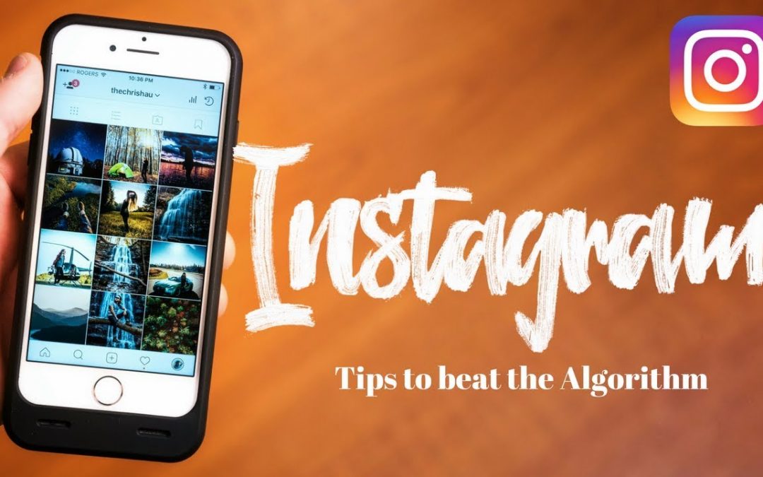 Grow ORGANICALLY on INSTAGRAM – 10 Recommendations to conquer the ALGORITHM!!